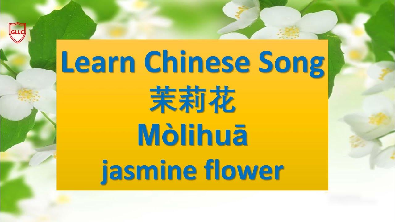 Moli Hua -茉莉花 Learn Chinese Song with Pinyin -Traditional Chinese Song lyrics Moli Hua -茉莉花 Learn Chinese Song with Pinyin -Traditional Chinese Song lyrics