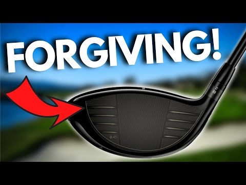 فيديو: ما هو أكثر السائقين تسامحًا على الإطلاق؟