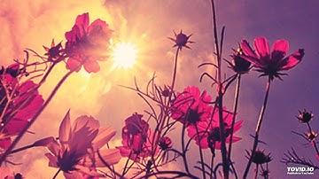 سورة الفلق: Surat Al falaq: اجمل تلاوة بصوت الشيخ خالد الجليل لرقية البيت