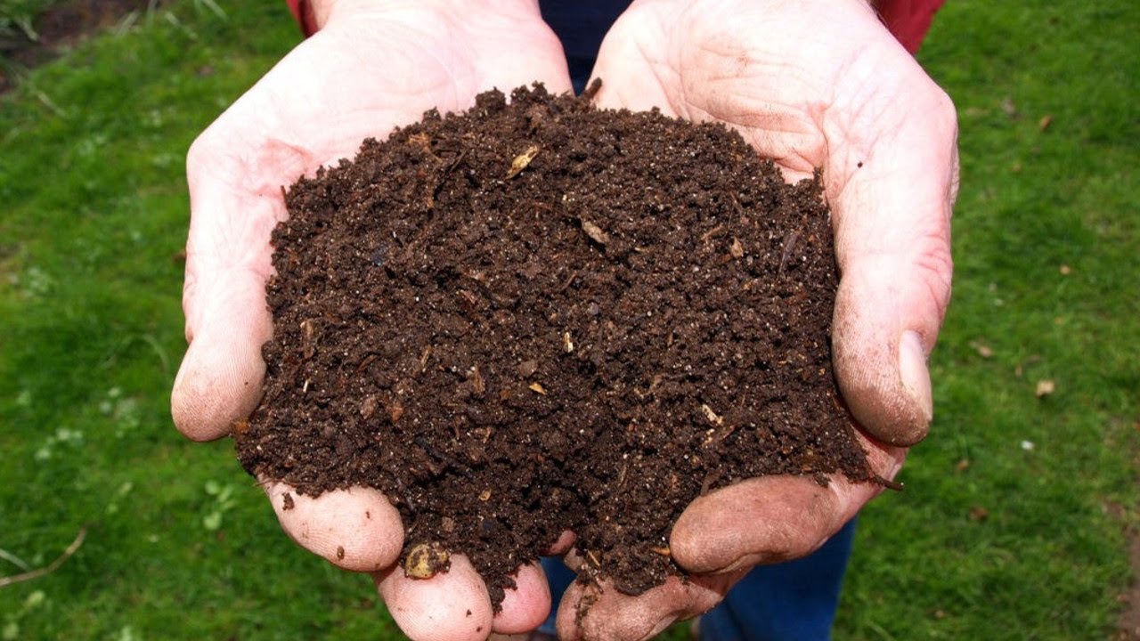 Expérimentation Thé de Compost Oxygéné