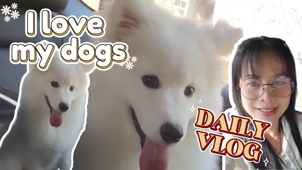 VLOG ♡ EP.08 : I LOVE MY DOG 🐕 พาน้องหมาไปฉีดวัคซีน เจ็บป่ะ?! ดุ๊กดิ๊ก & ชีโร่🐶🐾