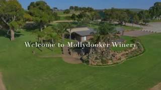 Visit the home of mollydooker in mclaren vale south australia.