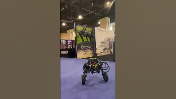 Diablo Robot: The Future of automation from direct drive tech #youtubeshorts