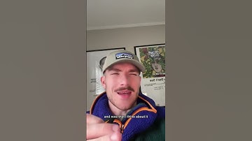 Jasper AI is trying to put copywriters out of business #GenshinImpact34 #FastTwitchContest #chatgpt