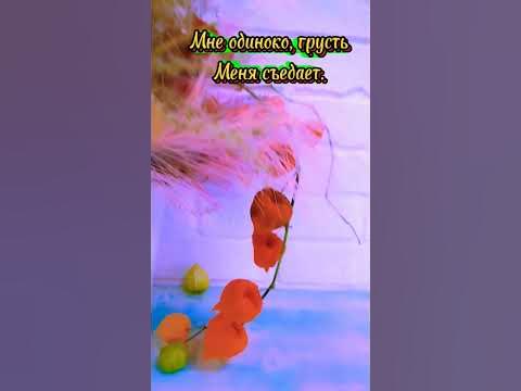 Случилась осень/Мари Краймбрери - YouTube