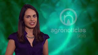 AGRONOTICIAS sie7e PROGRAMA 60