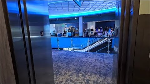 Gloednieuwe Schindler 3300XL-liften - Mote Science Education Aquarium (SEA) - Sarasota, FL