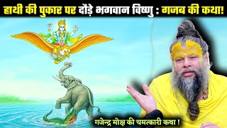 गजेन्द्र मोक्ष की चमत्कारी कथा | जो सुन ले उसका भी उद्धार हो जाए! Shrihit premanand ji mahraj