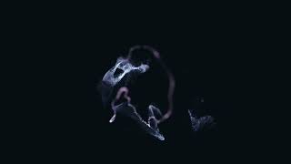 Tracklab - Smoke