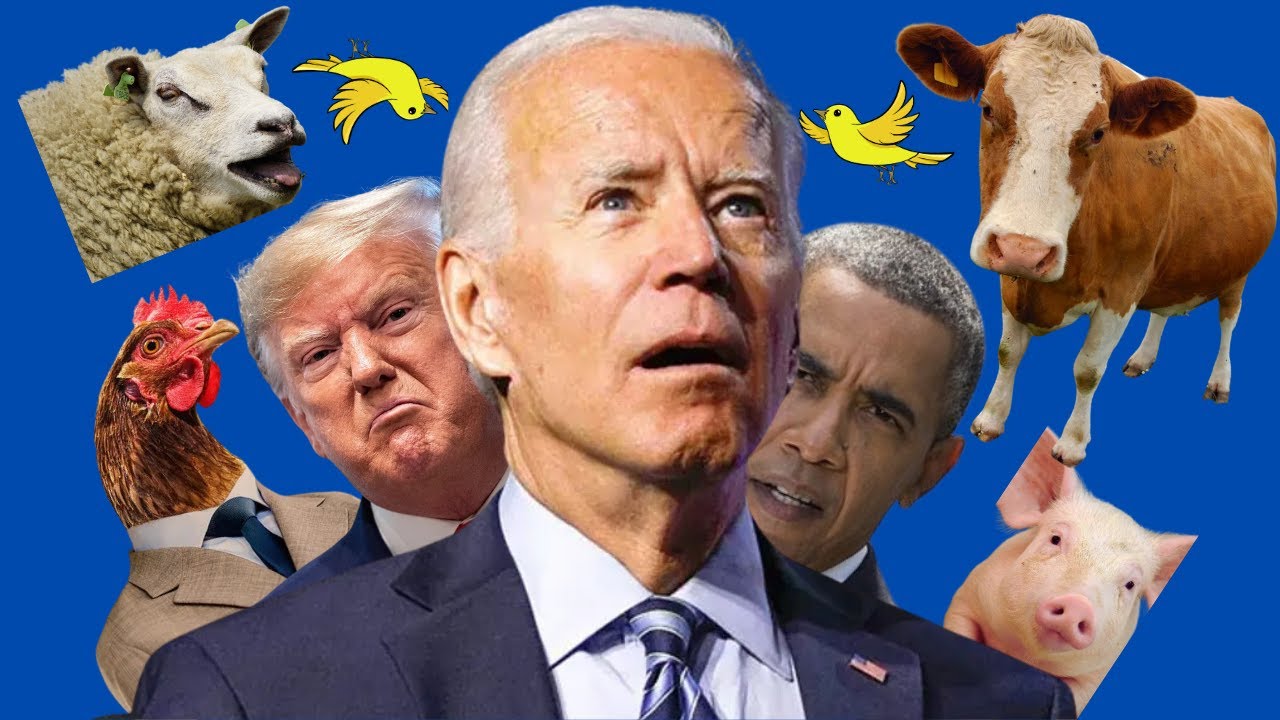 US PRESIDENTS RANK FARM ANIMALS!!! (AI Voiceover)
