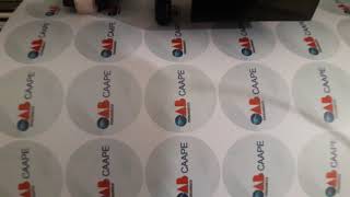 Recorte digital com plotter com sensor laser redsail