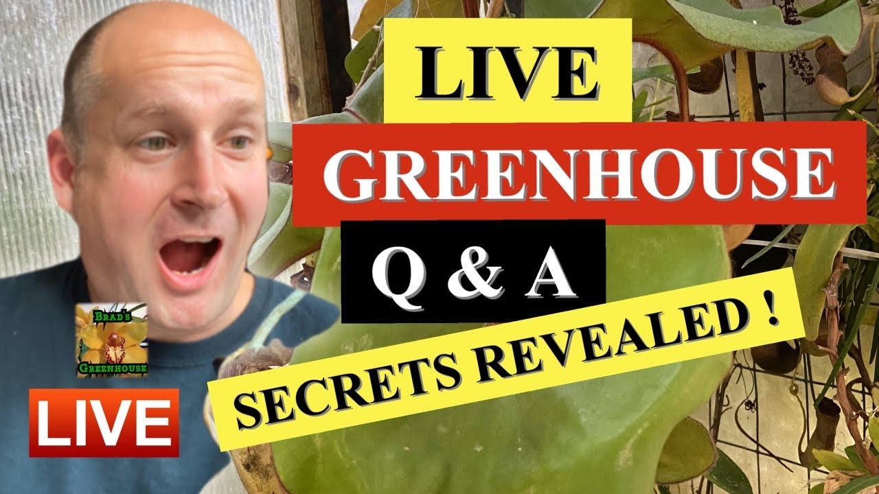 Brads Greenhouse Live Update in the Greenhouse! Ask Me Anything! December 14th/19 TAKE 2 Q and A