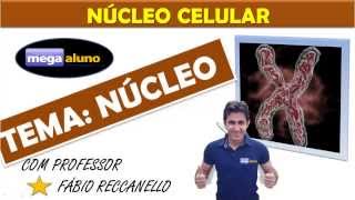 Aula sobre o NÚCLEO DA CÉLULA, intérfase e cromossomos. Aula completa COM MATERIAL