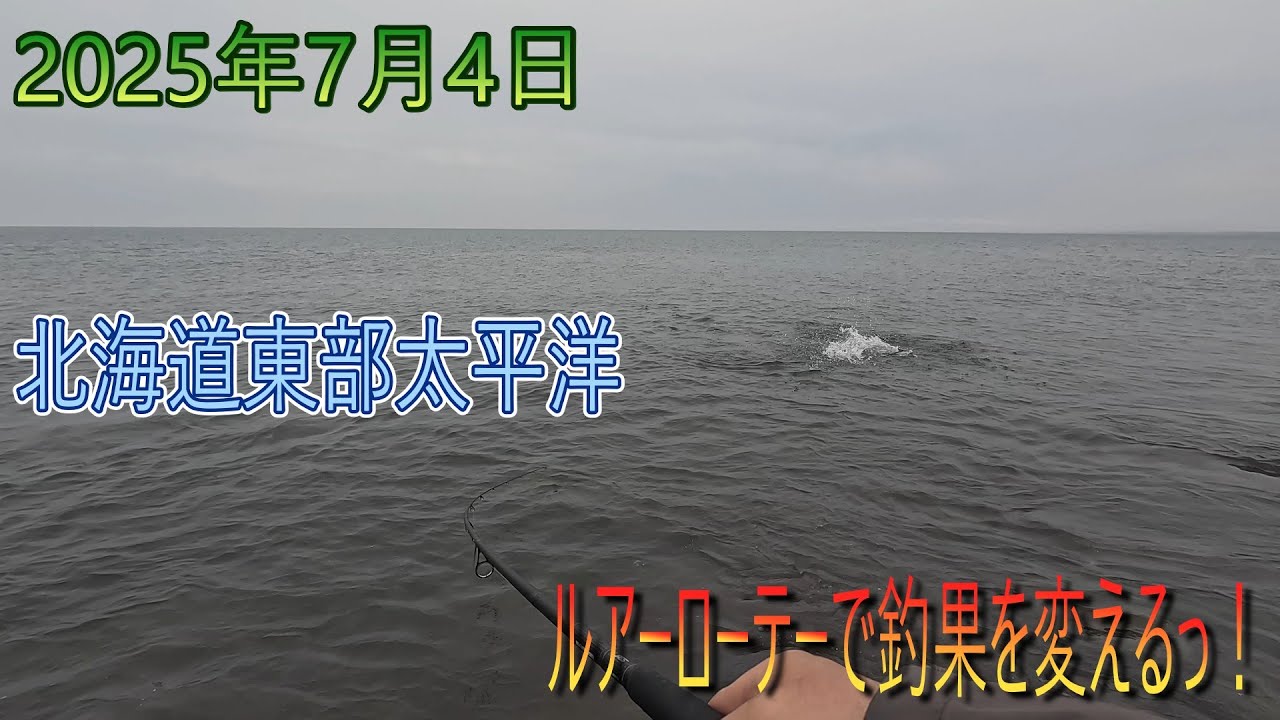 北海道　東部太平洋　海アメマス、サクラマス釣行　ルアーローテで釣果を出すっ！