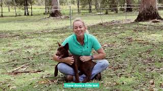 Australian Outback Spectacular Dog Trainer Heidi Mackay feed Frontier Pets