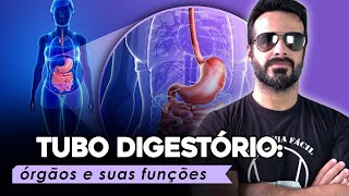 Quais são os órgãos que compõem o sistema digestivo?