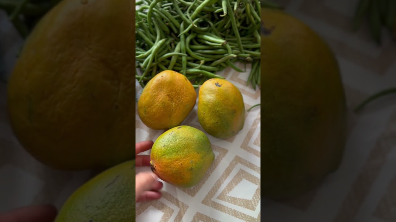 Part 2: Shopping in Morocco Local Market. 