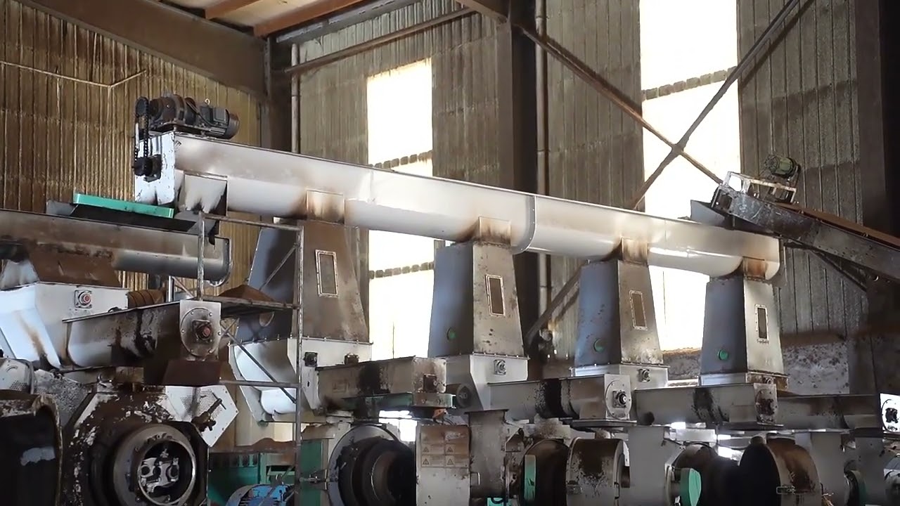 From Waste to Gold: Organic Fertilizer Granules in Action! 🌱💰 