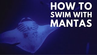 Manta Rays in Hawaii! The Best Place to Safely Swim with Manta Rays