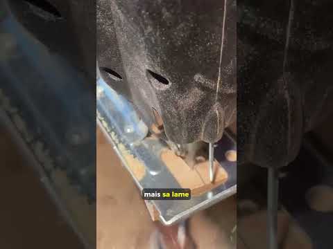 Scie sauteuse ou scie circulaire, laquelle choisir ?