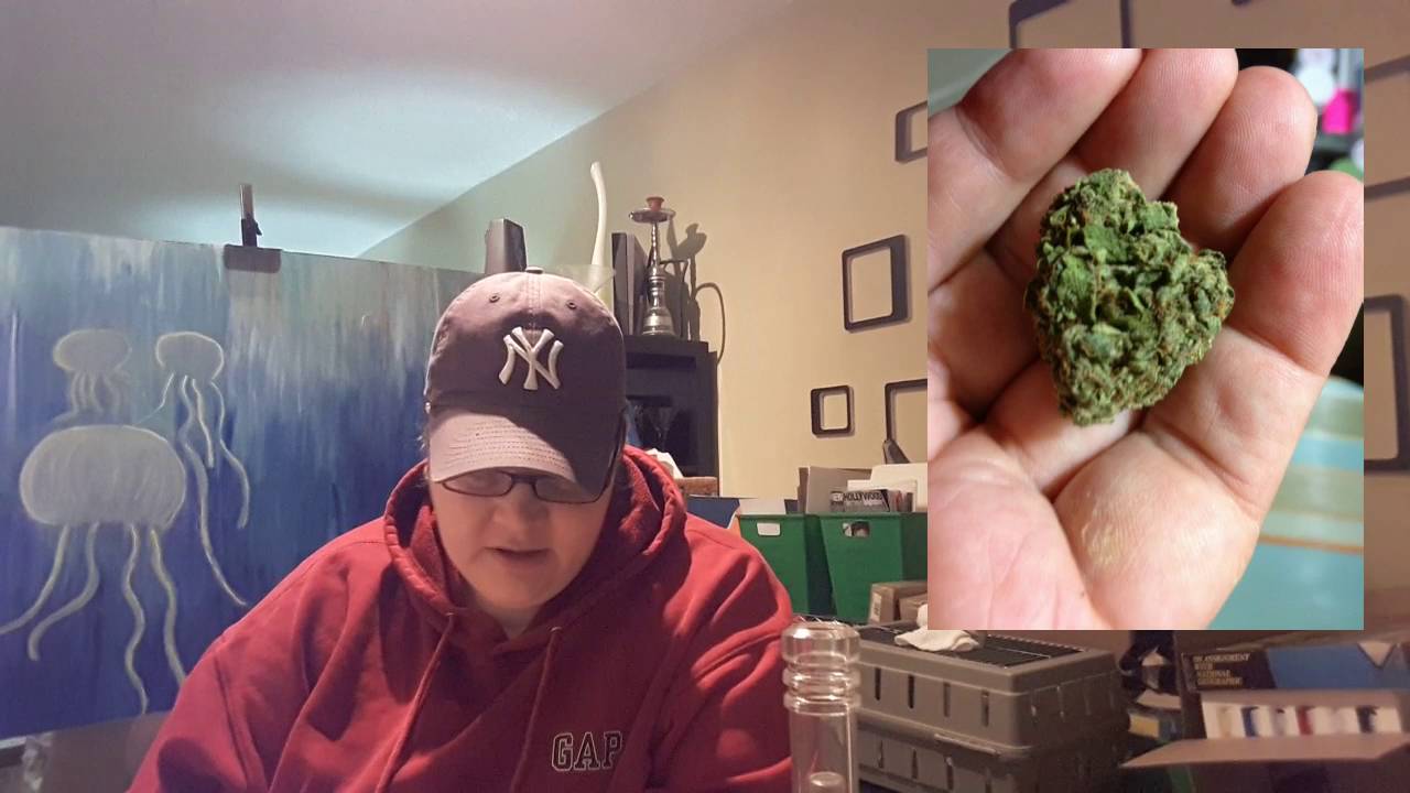 Strain Review Roundup