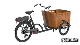 Cargo Trike Bike Assembly