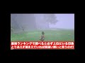 #Shorts 信じてまっすぐ進むのじゃ