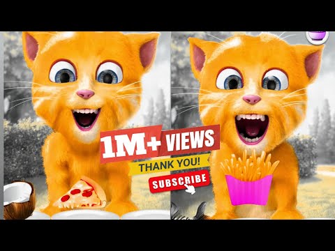 Talking Tom Cat 2 😻🐈- Talking Cat music so funny | Cat Eating🍔🌭🌶🍉🎂#talkingtom #talkingginger