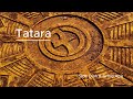 Tatara (feat. shumo) Side Dish&Grind Ape