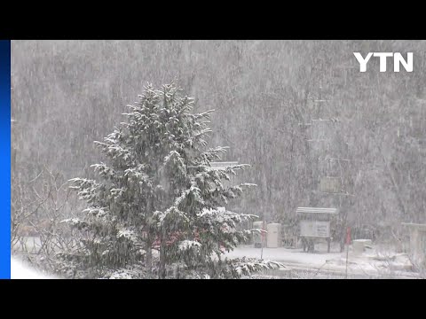 [날씨] 출근길, 강력 한파 기승...서해안 주말까지 폭설 / YTN