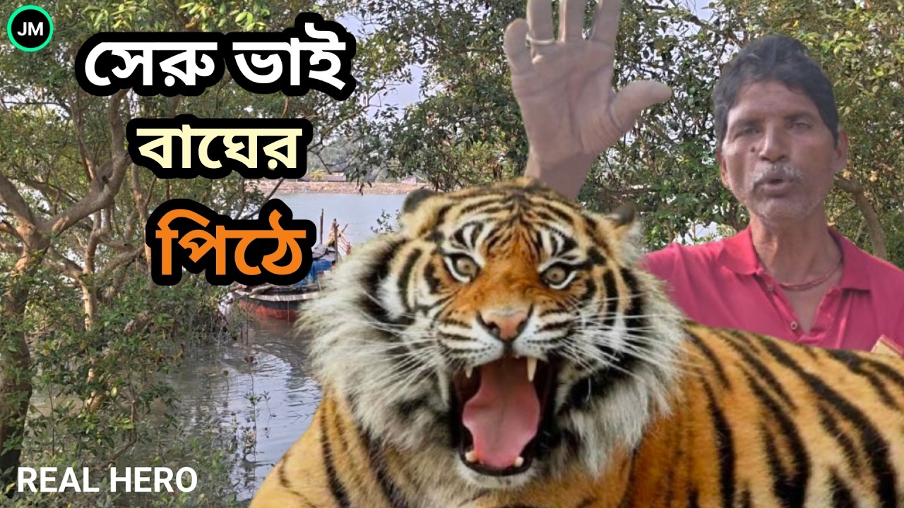 বেঁচে ফিরল সেরু ভাই।সুন্দরবনের বাঘের সাথে লড়াই।সুন্দরবনের বাঘ।Real Tiger Attack Man