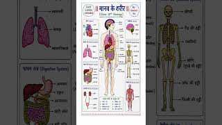 Class 10 Biology Human Body Diagram Trick 🤯 | Manav Ke Sharir Ka Complete Chart | Board Exam 2026