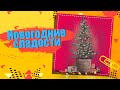 Новогодние подарки и сладости в Германии 🎄Показываю, что продают в магазинах