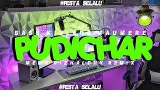 MEMO RIZHALDHY || PUDICHAR || NEW REMIX 2023