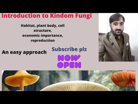 Kingdom Fungi (Introduction,