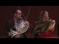 International Chamber Orchestra of Puerto Rico - Corte 1 Hebrides