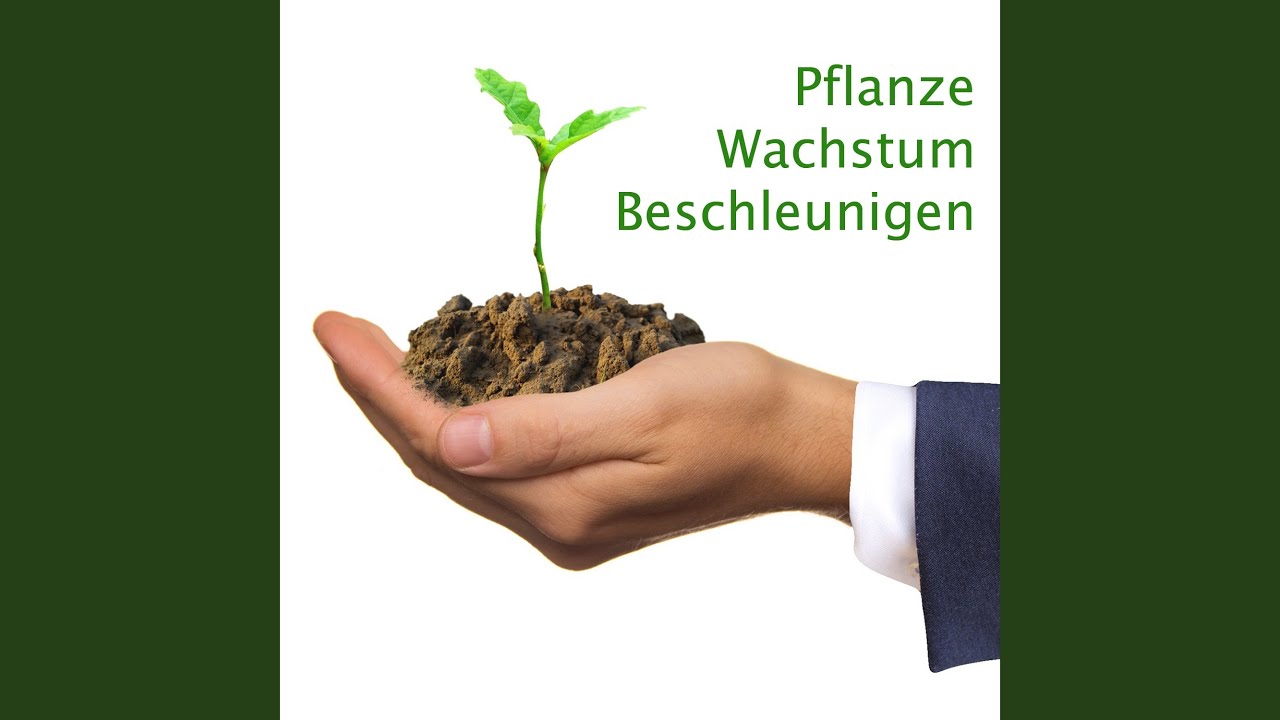 Wellness Oase Musik (Original Track)