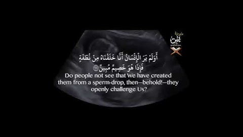 تلاوة فيها راحة نفسية لا توصف |بصوت عادل حسن الحجواني Quran Relaxe