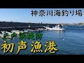 神奈川釣り場 三浦 初声漁港 三戸浜堤防 サビキ釣り ちょい投げ釣り アジ イワシ アジング メバリング エギング ショアジギング MANCING MANIA JAPAN