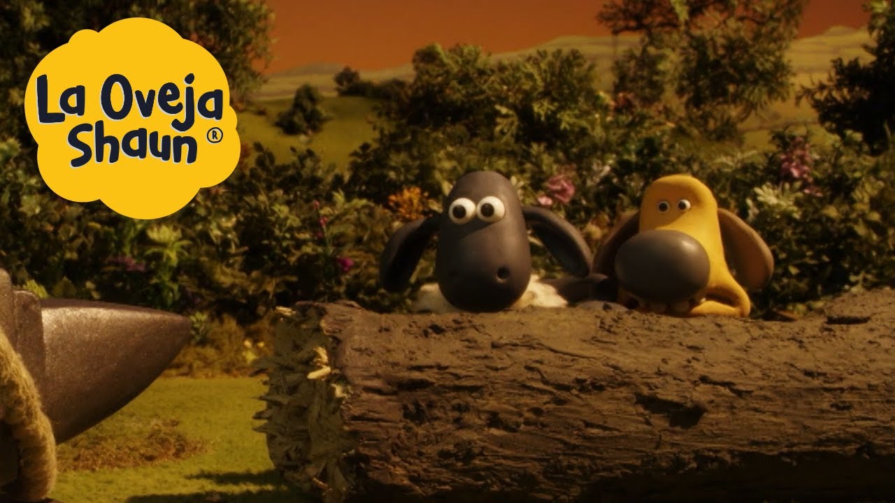 La Oveja Shaun 🐑 ¡¿Oveja calva?!?! 🐑 Dibujos animados para niños