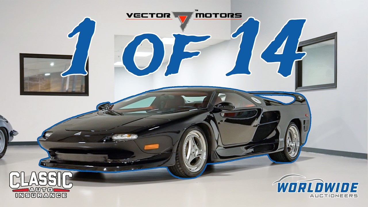 Vector M12 Rear Vector M12