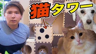 マットで巨大猫タワー作ったぞ!! POP様 　PDS