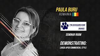 Lhasa Apso Masterclass: Join Paula Buru for a Mesmerizing Commercial Style Demonstration!