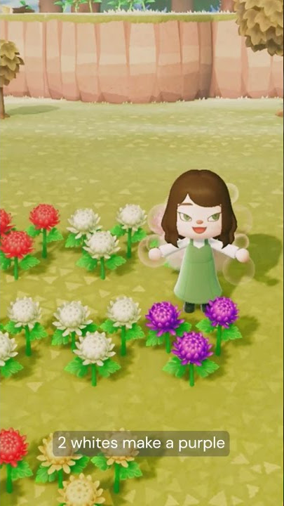 How to breed mums | ACNH #shorts