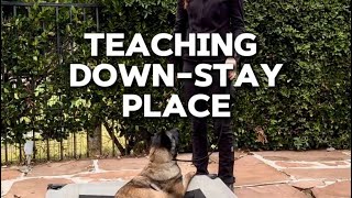 Teaching Down Stay or Teaching Place