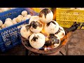 구워 먹는 코코넛?! 깎고, 끓이고, 구워 먹어야 제맛이라는 코코넛 / Burned coconut | Thailand street food