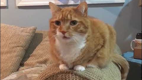 Shortest Video on Youtube Part 23