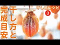 干し柿食べ頃目安