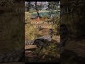CAREFUL SOME CARNO’S ARE RIGHT THERE | THE ISLE