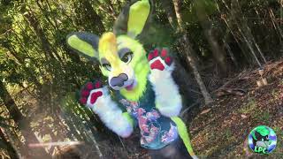 Fursuit Showcase - Solo The Sodaroo